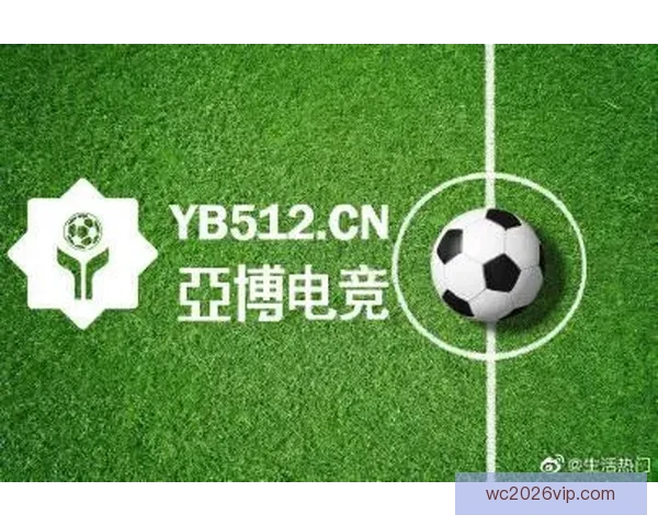 世界杯跟单投注策略解析助你稳操胜券提升盈利水平