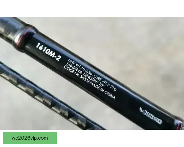 深度解析世界杯足球竞猜投注技巧与赛前数据趋势全面指南